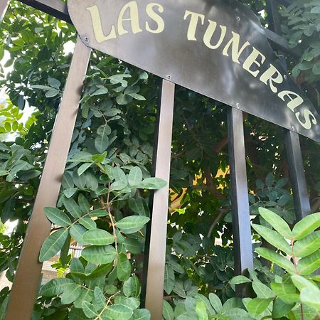 Las Tuneras Apartamento En San Agustin San Bartolomé Εξωτερικό φωτογραφία